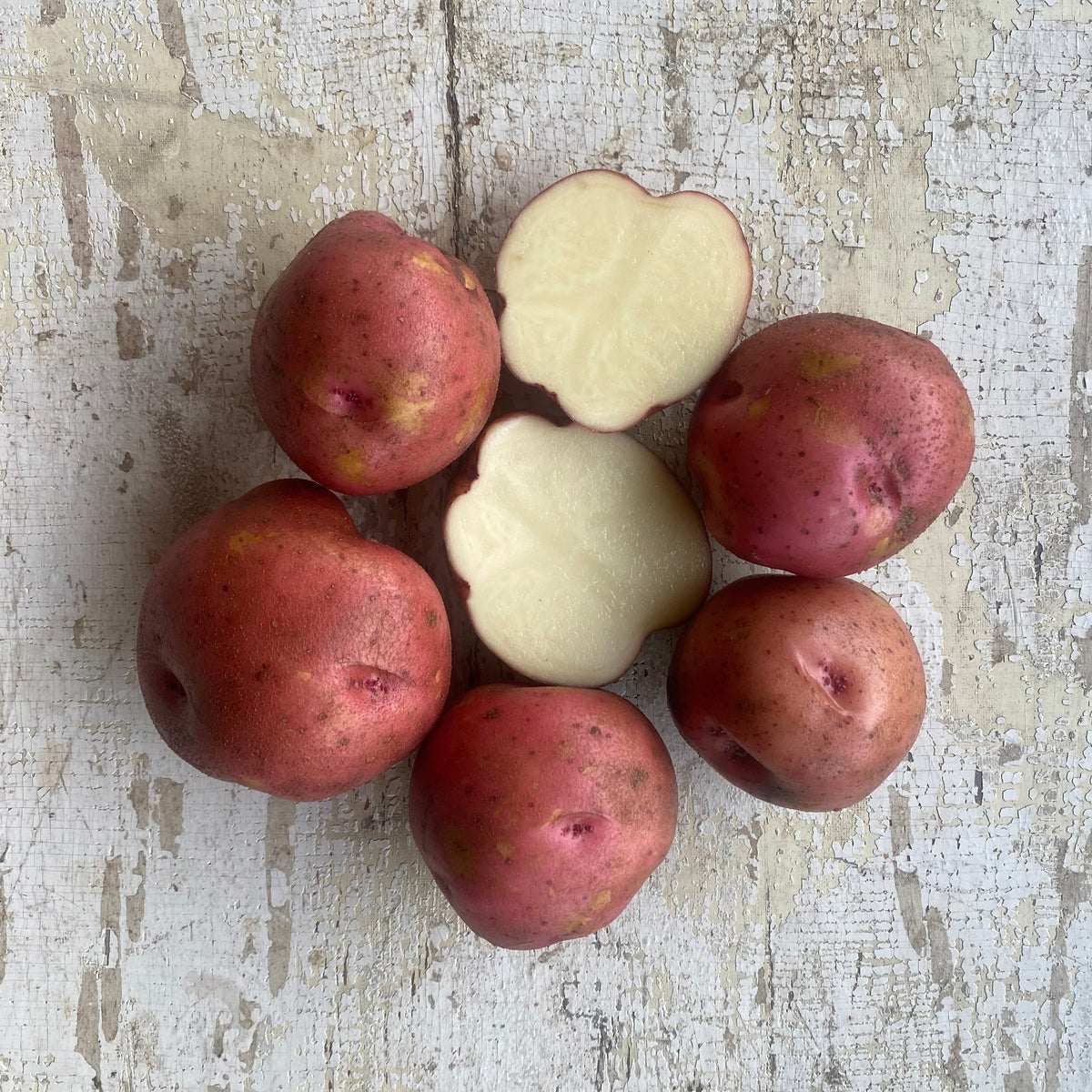 Red Pontiac Mythic Farm